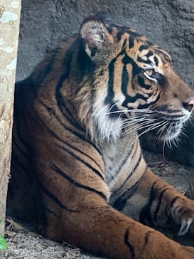 神戸どうぶつ王国に投稿された画像（2021/7/24）