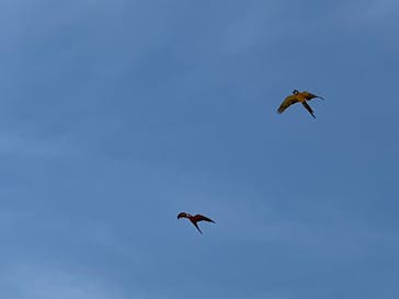 神戸どうぶつ王国に投稿された画像（2021/7/24）