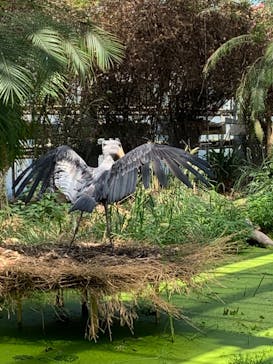 神戸どうぶつ王国に投稿された画像（2021/7/24）