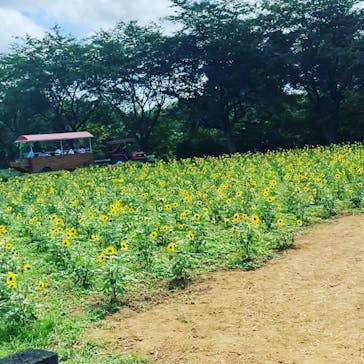 成田ゆめ牧場に投稿された画像（2021/7/25）