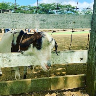 成田ゆめ牧場に投稿された画像（2021/7/25）