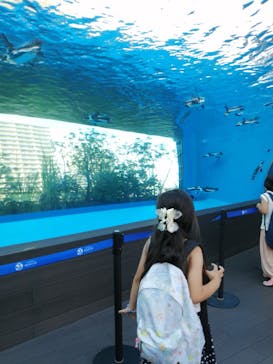 サンシャイン水族館に投稿された画像（2021/7/25）