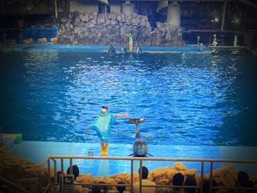 名古屋港水族館に投稿された画像（2021/7/25）