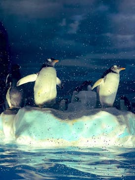 名古屋港水族館に投稿された画像（2021/7/25）