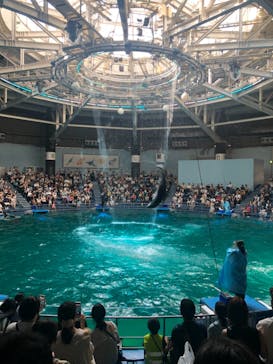 マクセル アクアパーク品川に投稿された画像（2021/7/25）