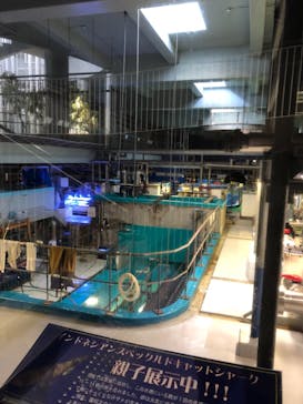 アクアワールド茨城県大洗水族館に投稿された画像（2021/7/25）