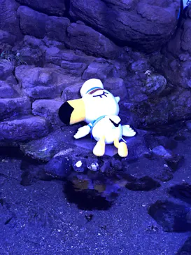 横浜・八景島シーパラダイスに投稿された画像（2021/7/25）