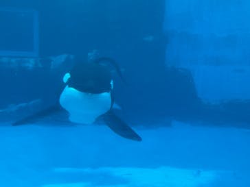 名古屋港水族館に投稿された画像（2021/7/25）