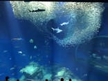 アクアワールド茨城県大洗水族館に投稿された画像（2021/7/25）