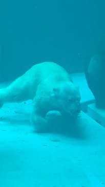 よこはま動物園ズーラシアに投稿された画像（2021/7/25）