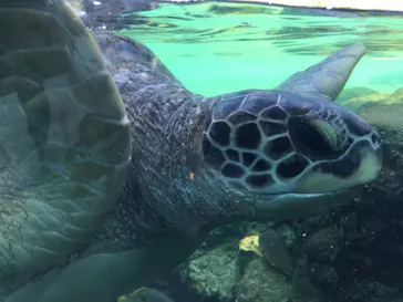 横浜・八景島シーパラダイスに投稿された画像（2021/7/25）
