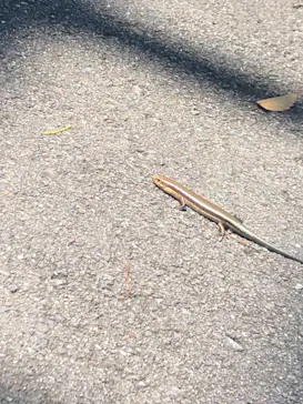 ひらかたパークに投稿された画像（2021/7/25）