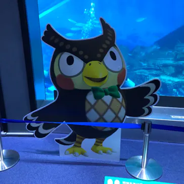 横浜・八景島シーパラダイスに投稿された画像（2021/7/25）