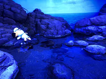 横浜・八景島シーパラダイスに投稿された画像（2021/7/25）