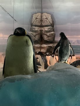 名古屋港水族館に投稿された画像（2021/7/25）