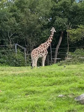 天王寺動物園に投稿された画像（2021/7/25）