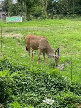 天王寺動物園に投稿された画像（2021/7/25）