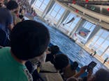 アクアワールド茨城県大洗水族館に投稿された画像（2021/7/25）