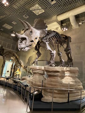 国立科学博物館に投稿された画像（2021/7/25）