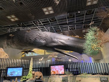 国立科学博物館に投稿された画像（2021/7/25）