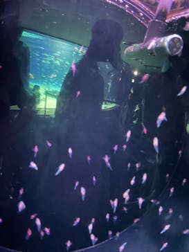 サンシャイン水族館に投稿された画像（2021/7/25）
