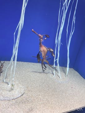 サンシャイン水族館に投稿された画像（2021/7/25）