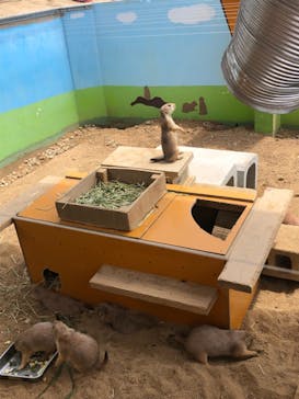 淡路ファームパーク イングランドの丘に投稿された画像（2021/7/25）