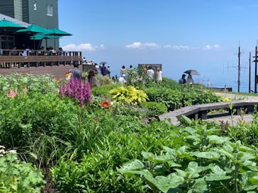 びわ湖バレイに投稿された画像（2021/7/25）