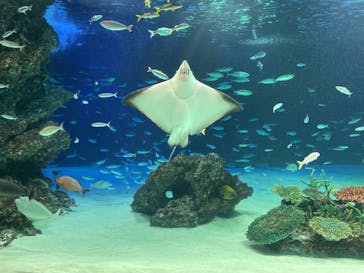 サンシャイン水族館に投稿された画像（2021/7/25）