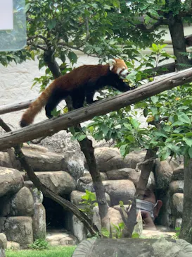 天王寺動物園に投稿された画像（2021/7/25）
