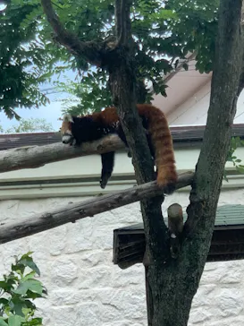天王寺動物園に投稿された画像（2021/7/25）
