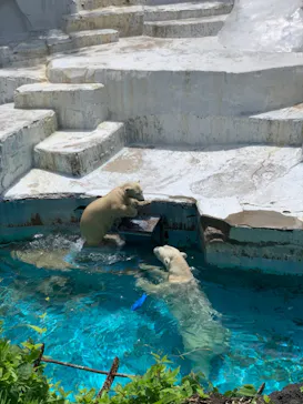 天王寺動物園に投稿された画像（2021/7/25）
