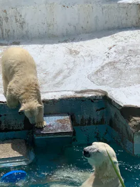 天王寺動物園に投稿された画像（2021/7/25）