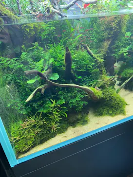 すみだ水族館に投稿された画像（2021/7/25）