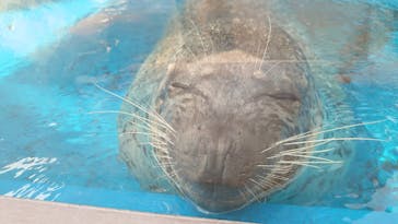 株式会社Gに投稿された画像（2021/7/25）