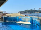 新江ノ島水族館に投稿された画像（2021/7/25）