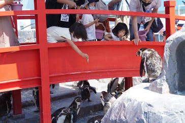 南知多ビーチランド＆南知多おもちゃ王国に投稿された画像（2021/7/25）