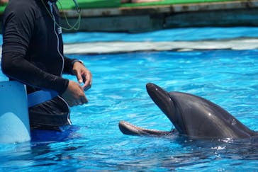 南知多ビーチランド＆南知多おもちゃ王国に投稿された画像（2021/7/25）