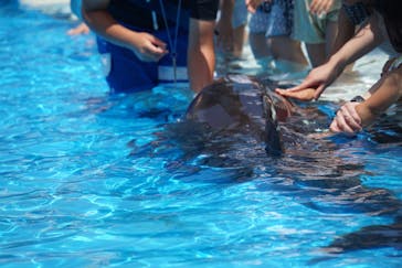 南知多ビーチランド＆南知多おもちゃ王国に投稿された画像（2021/7/25）