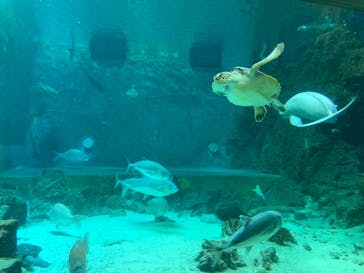 南知多ビーチランド＆南知多おもちゃ王国に投稿された画像（2021/7/25）