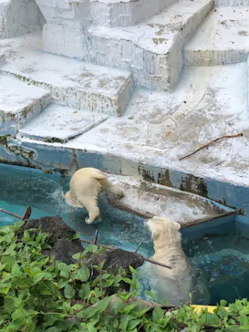 天王寺動物園に投稿された画像（2021/7/25）