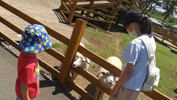 まかいの牧場に投稿された画像（2021/7/25）