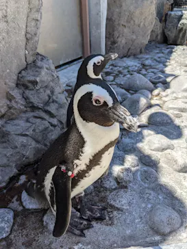 横浜・八景島シーパラダイスに投稿された画像（2021/7/25）