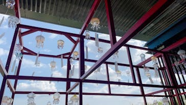 京都水族館に投稿された画像（2021/7/25）