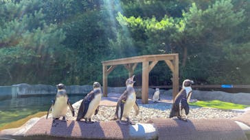 那須どうぶつ王国に投稿された画像（2021/7/25）