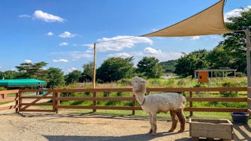 那須どうぶつ王国に投稿された画像（2021/7/25）