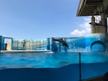 新江ノ島水族館に投稿された画像（2021/7/25）