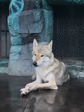 天王寺動物園に投稿された画像（2021/7/25）