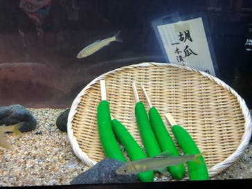 カワスイ 川崎⽔族館に投稿された画像（2021/7/25）