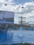 名古屋港水族館に投稿された画像（2021/7/25）
